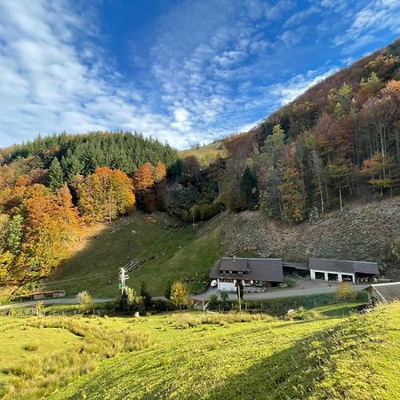 Bauernhaus Im Muenstertal Luaran gambar