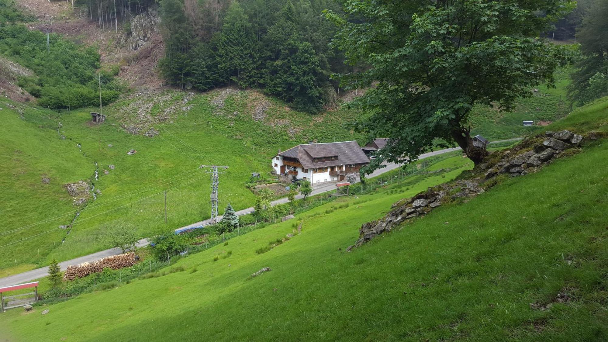 Bauernhaus Im Muenstertal Luaran gambar