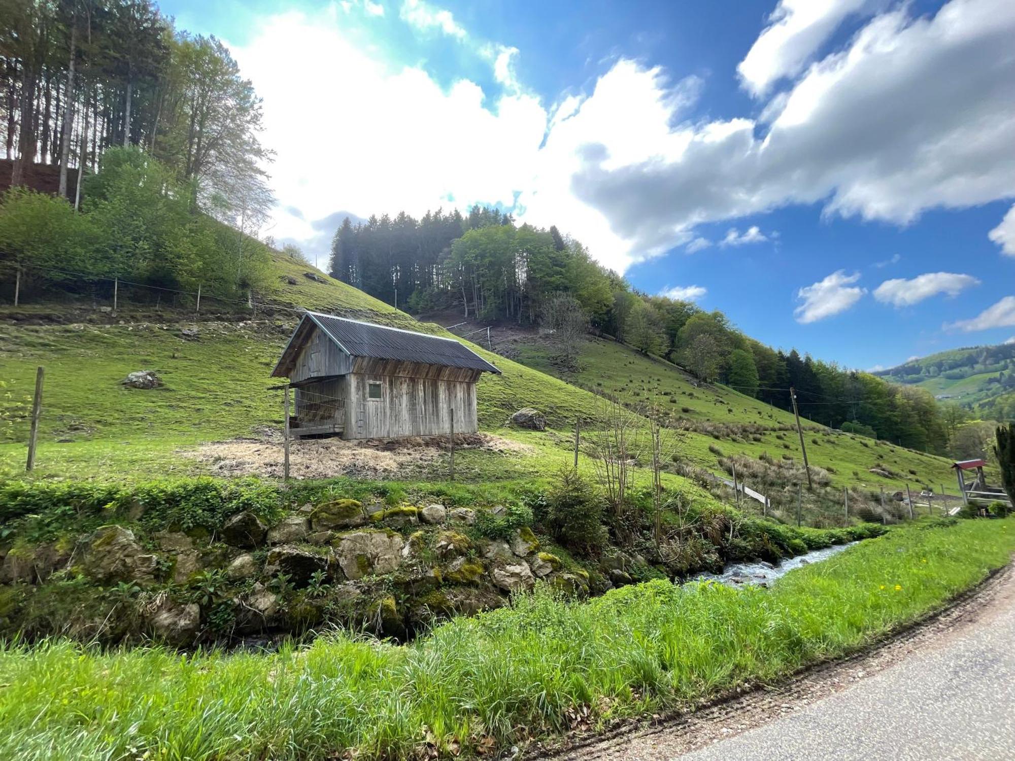 Bauernhaus Im Muenstertal Luaran gambar