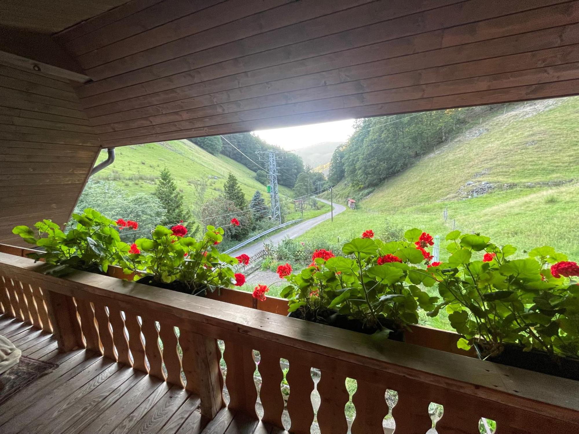 Bauernhaus Im Muenstertal Luaran gambar