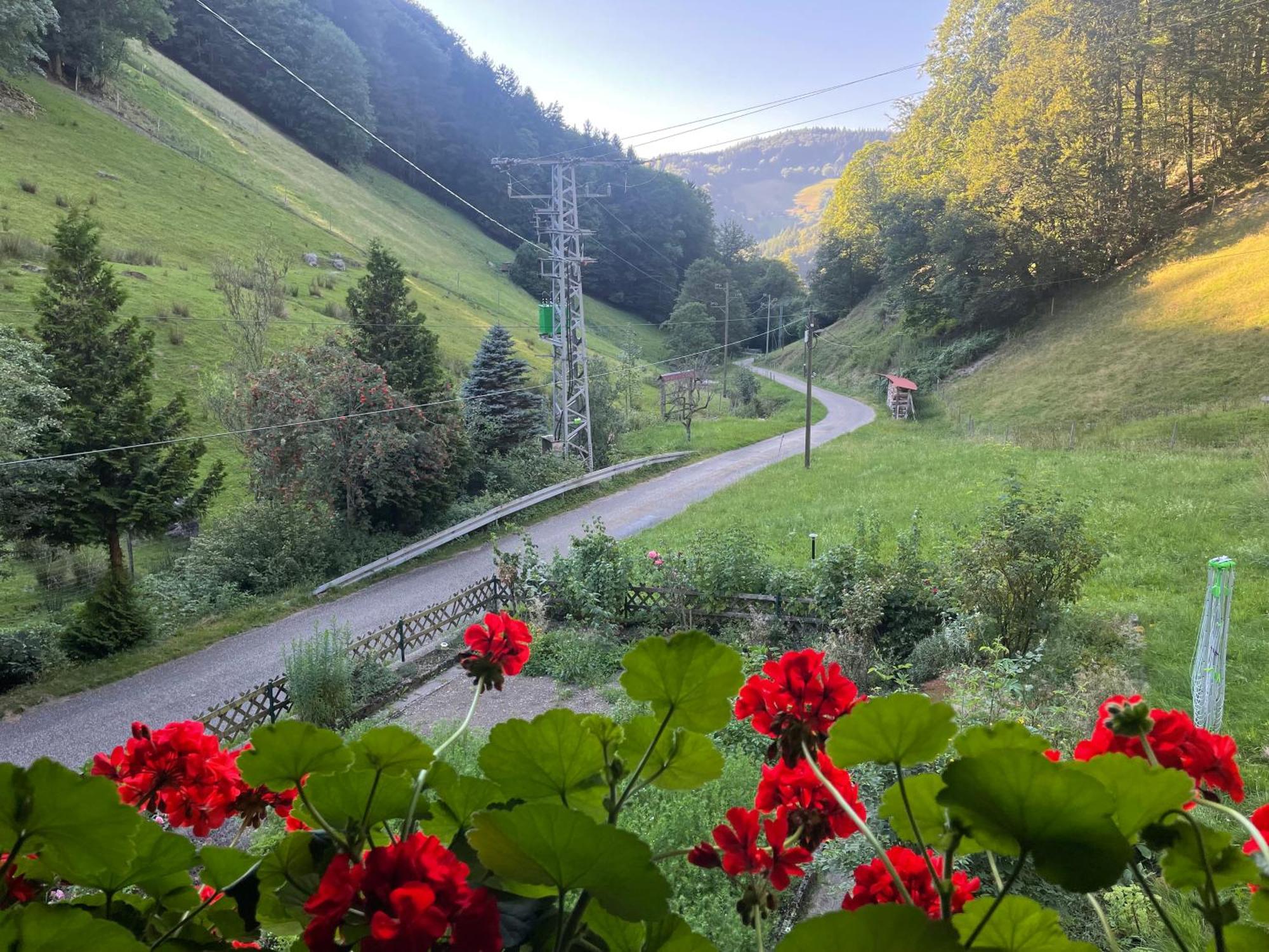 Bauernhaus Im Muenstertal Luaran gambar