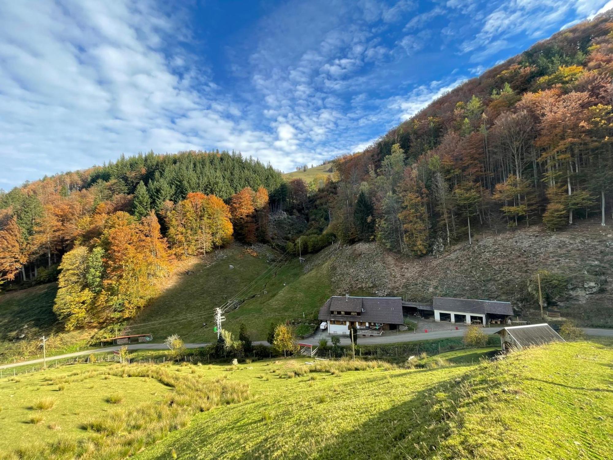 Bauernhaus Im Muenstertal Luaran gambar